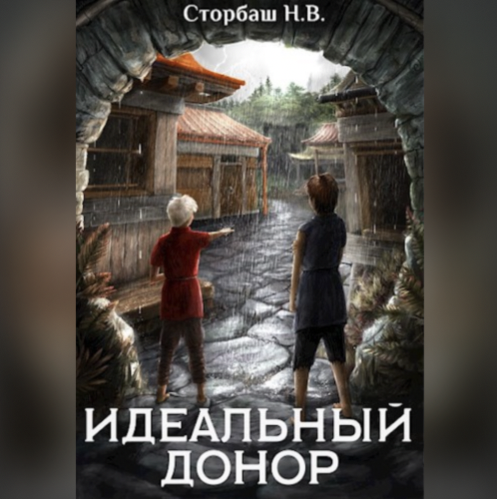 Картинка по теме Сторбаш Н.В. «Идеальный донор», 5